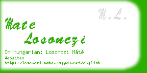 mate losonczi business card