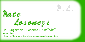 mate losonczi business card